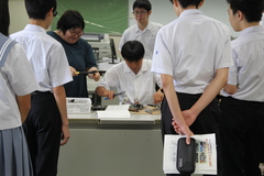IMG_2095