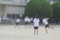 IMG_1193